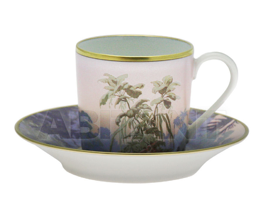 Купить Чашка кофейная Haviland Le Brésil T1 1855 2231 849F