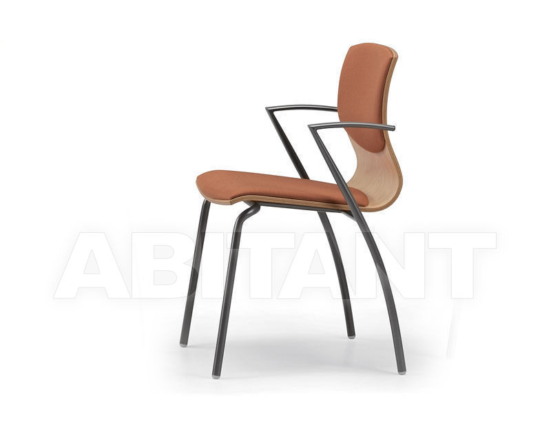 Купить Стул с подлокотниками WEBWOOD Talin 2015 WEBWOOD 354-2
