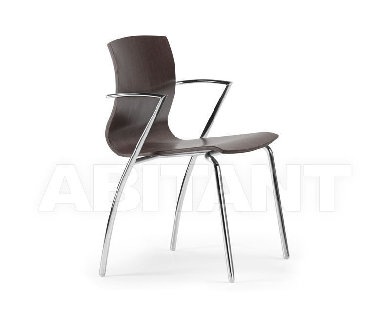 Купить Стул с подлокотниками WEBWOOD Talin 2015 WEBWOOD 354-BROWN