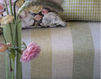 Интерьерная ткань F1982/06 Designers Guild Padua F1982/06 Современный / Скандинавский / Модерн