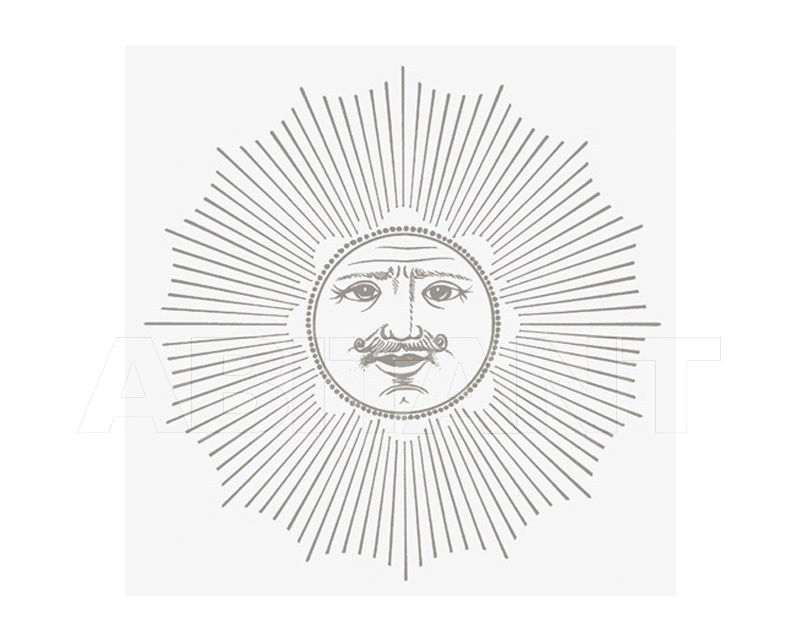 Купить Плитка настенная Ceramica Bardelli  DESIGN Soli e Lune Platino Bianco Extra 2
