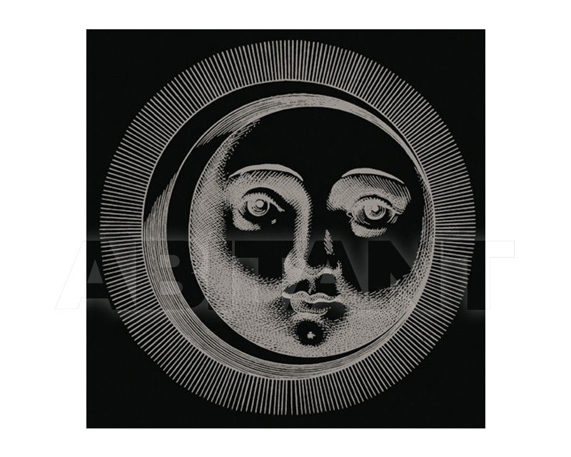 Купить Плитка настенная Ceramica Bardelli  DESIGN Soli e Lune Platino Nero Extra  5