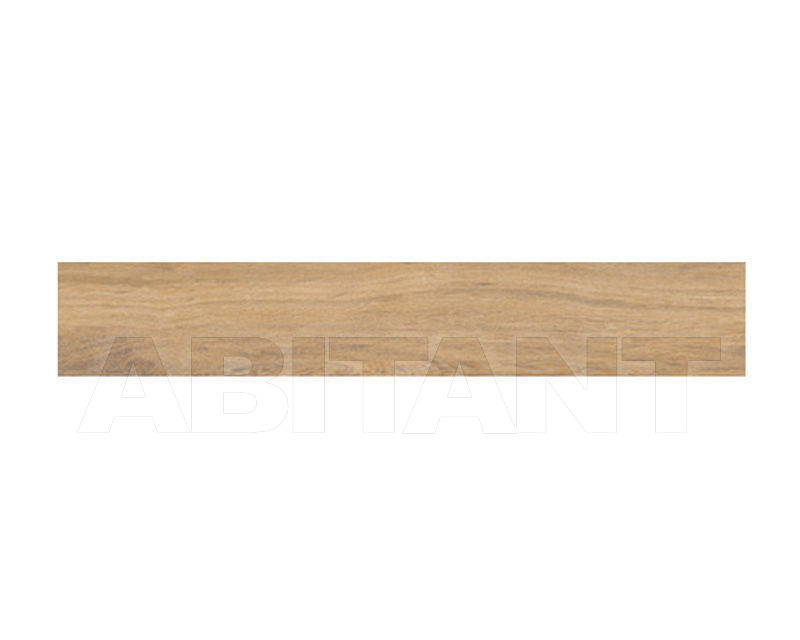 Купить Плитка напольная  Ceramica Sant'Agostino S.Wood  CSAWOGOL20
