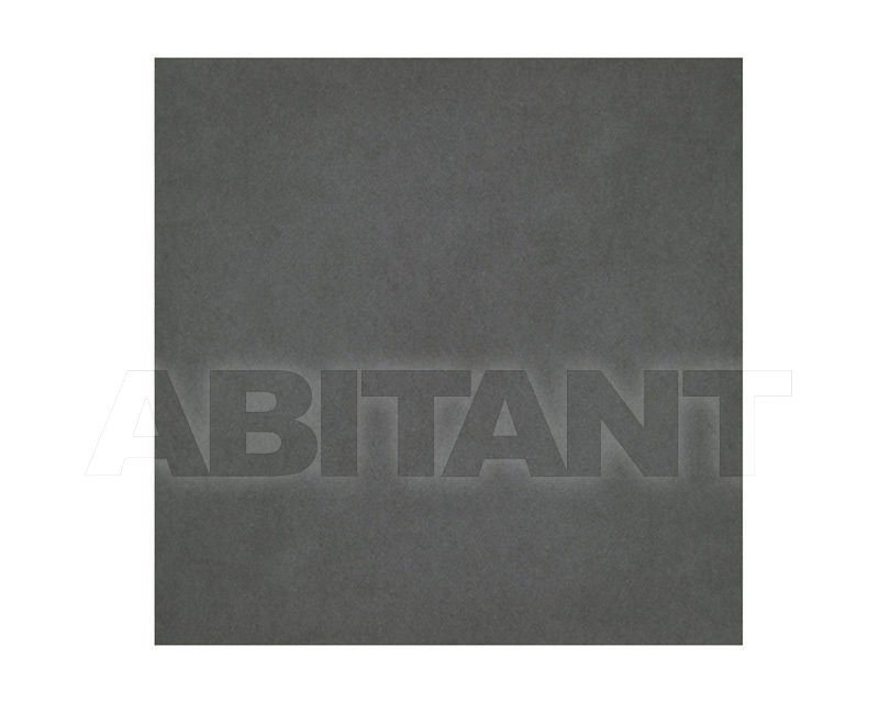 Купить Плитка  Ceramica Sant'Agostino Natural Trend CSAT60BL00