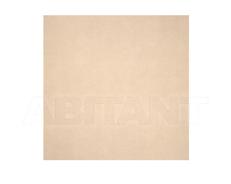 Купить Плитка  Ceramica Sant'Agostino Natural Trend CSAT60CR00