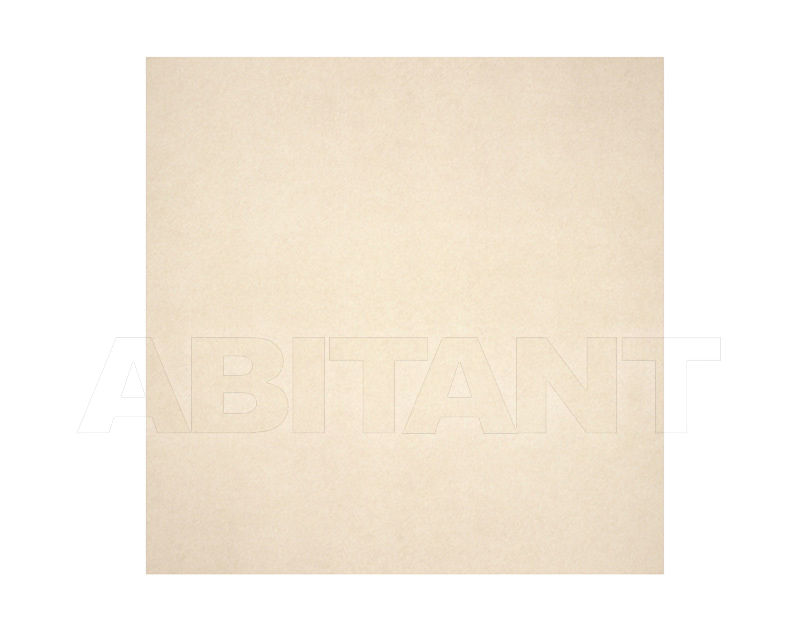 Купить Плитка  Ceramica Sant'Agostino Natural Trend CSAT60WH00