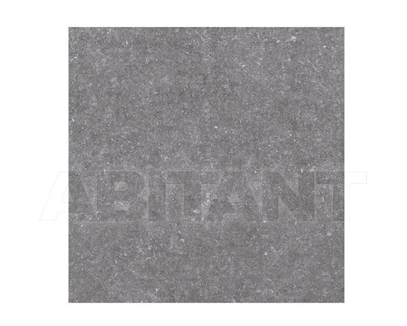Купить Плитка  Ceramica Sant'Agostino Fiordi CSAFGR6060