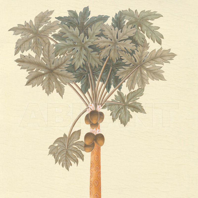 Купить Бумажные обои Iksel  Decorative Panels Potted Palms Papaya