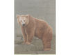 Бумажные обои Iksel  Decorative Panels Animals BROWN BEAR Восточный / Японский / Китайский