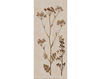 Бумажные обои Iksel  Decorative Panels Herbier Herb 4 Восточный / Японский / Китайский