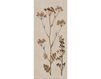 Бумажные обои Iksel  Decorative Panels Herbier Herb 8 Восточный / Японский / Китайский