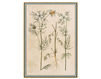 Бумажные обои Iksel  Decorative Panels Renaissance Herbier RH 10 Восточный / Японский / Китайский