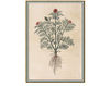 Бумажные обои Iksel  Decorative Panels Renaissance Herbier RH 11 Восточный / Японский / Китайский