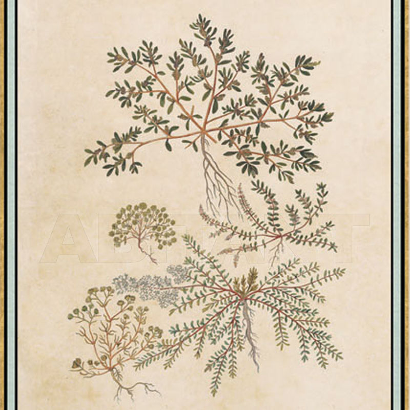 Купить Бумажные обои Iksel  Decorative Panels Renaissance Herbier RH 27