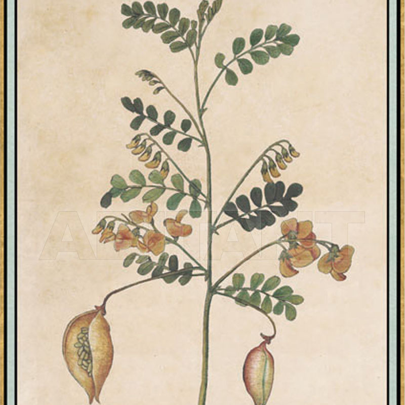 Купить Бумажные обои Iksel  Decorative Panels Renaissance Herbier RH 17