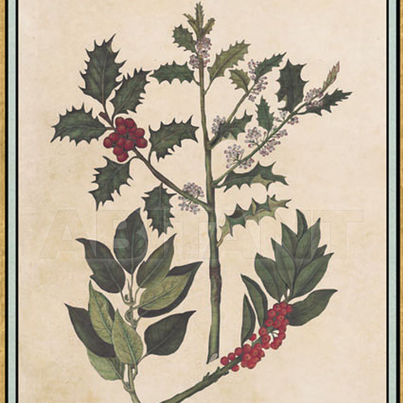 Купить Бумажные обои Iksel  Decorative Panels Renaissance Herbier RH 15