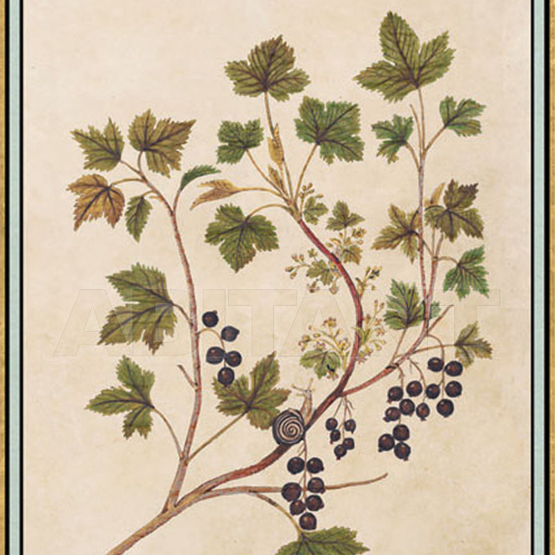 Купить Бумажные обои Iksel  Decorative Panels Renaissance Herbier RH 19