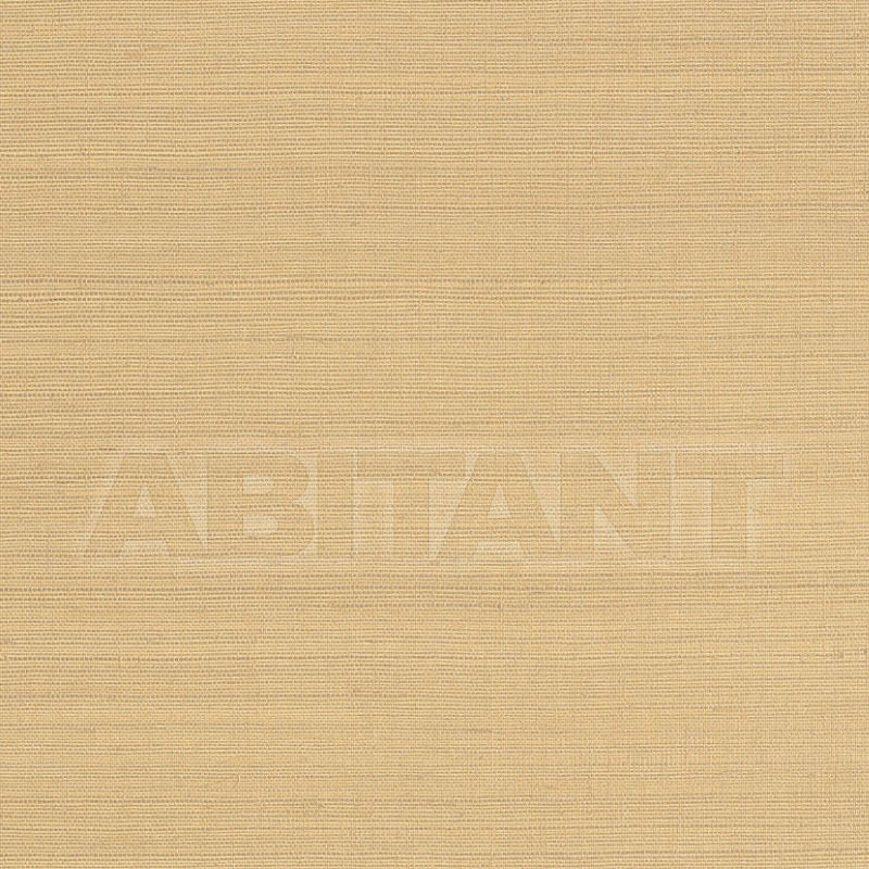 Купить Бумажные обои CHOLLA SISAL Anna French Zola AT34101