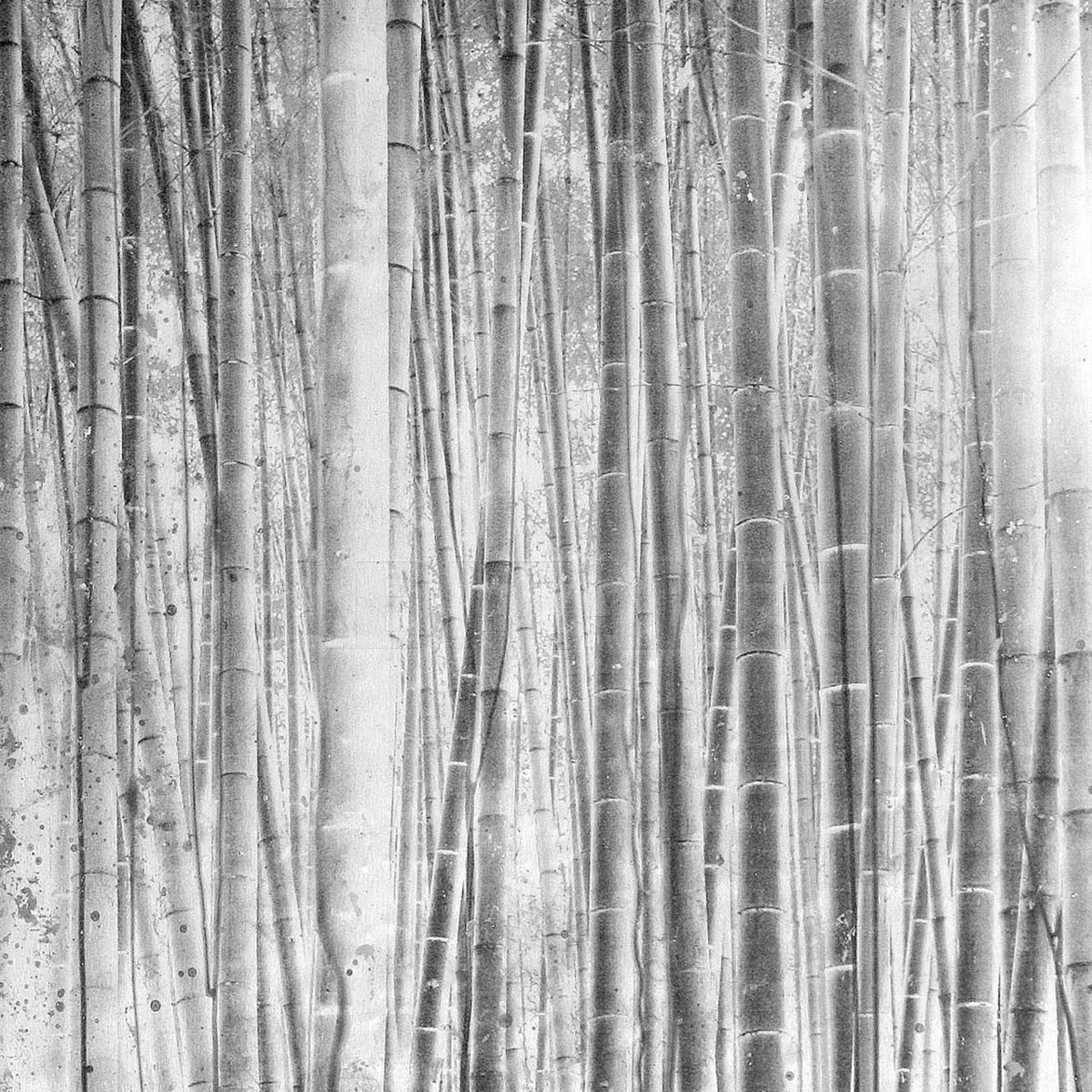 Купить Настенная панель Alex Turco Organic Bamboo forest silver