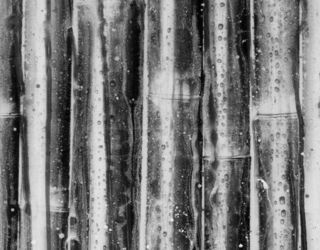 Настенная панель Alex Turco Organic Bamboo in Silver
