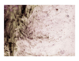 Настенная панель Alex Turco Liquid Dreams Purple Spirits