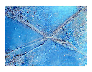 Настенная панель Alex Turco Liquid Dreams Blue crossing