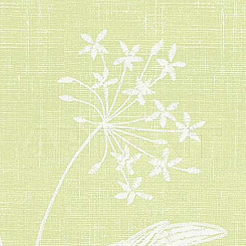 Купить Бумажные обои QUEEN ANNS LACE Thibaut Inc. Serendipity T124