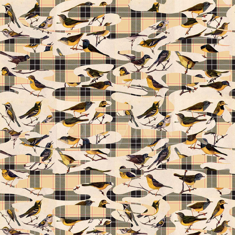 Купить Виниловые обои BIRDS Glamora Srl Camotartan YBS31A