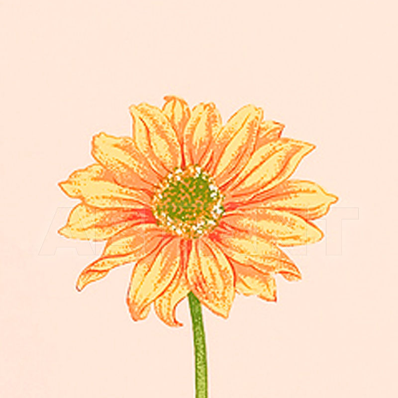 Купить Бумажные обои PICKING FLOWERS Thibaut Inc. Sweet Life T6105