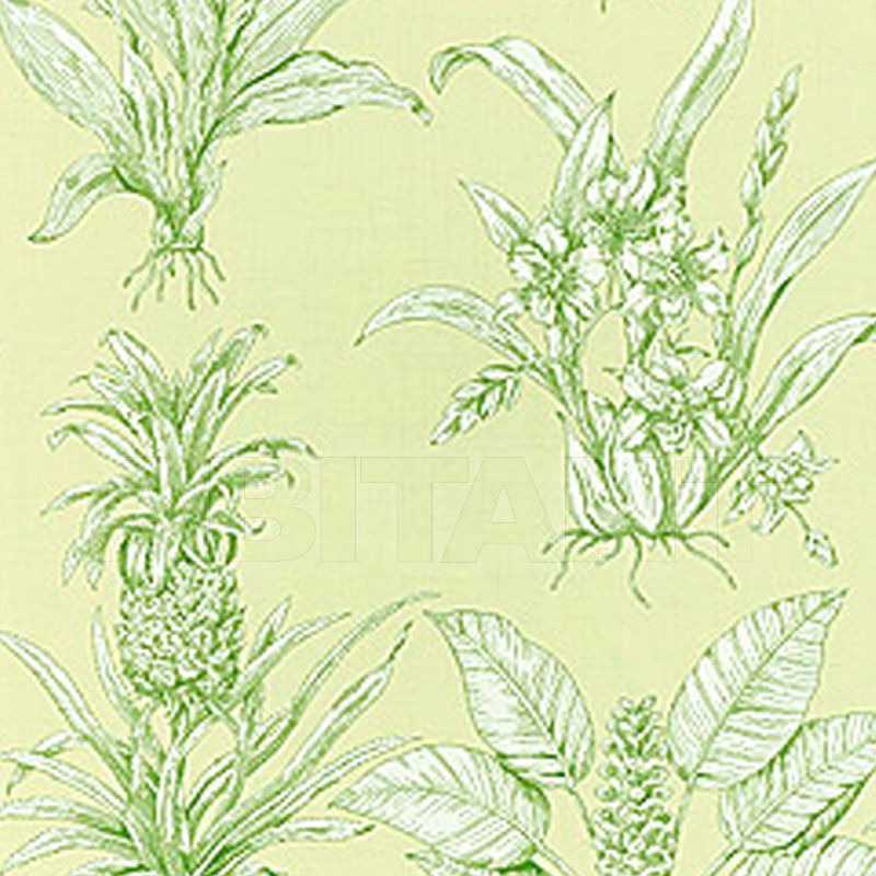 Купить Бумажные обои TROPICAL TOILE Thibaut Inc. Toile Resource 2 T9798