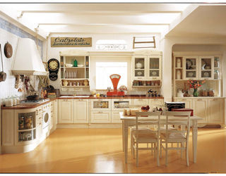 Кухонный гарнитур Aster Cucine Monografia SINTONIA