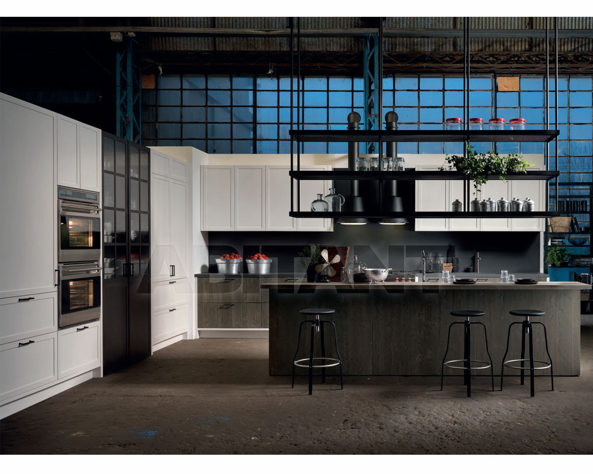 Купить Кухонный гарнитур Aster Cucine Monografia FACTORY 3