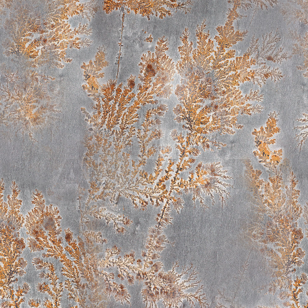 Купить Виниловые обои OCTOCORALLIA Glamora Srl Fossil GLFO121A