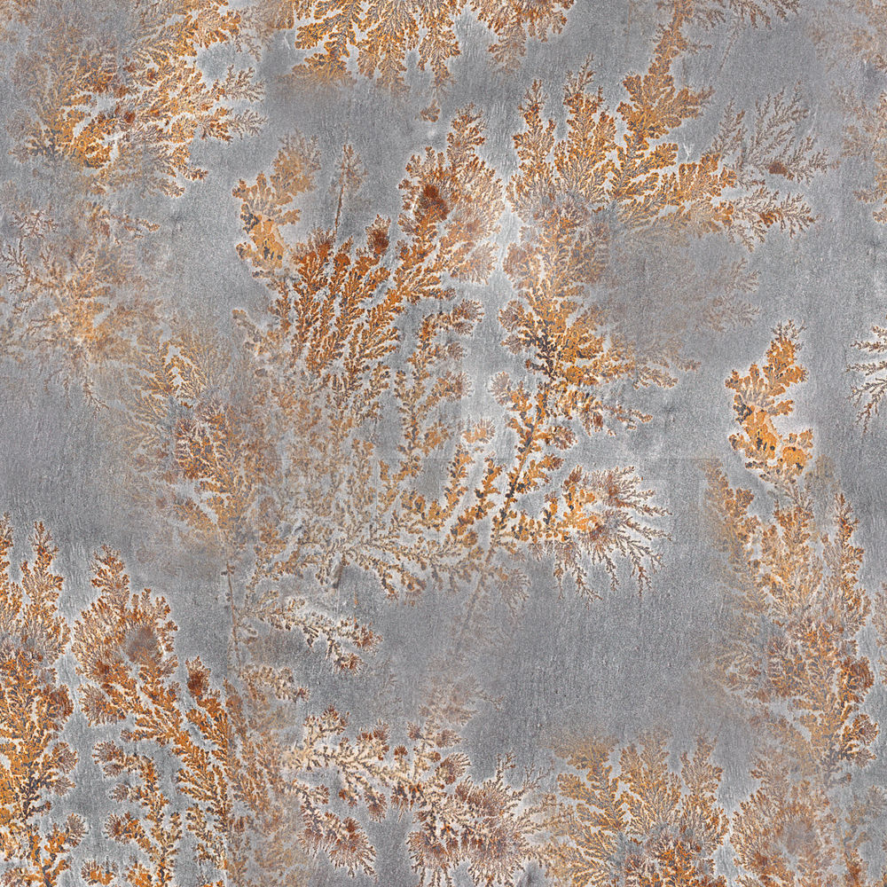 Купить Виниловые обои OCTOCORALLIA Glamora Srl Fossil GLFO121B