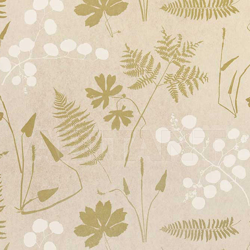 Купить Бумажные обои MODERN BOTANICAL F. Schumacher & Co. WALLCOVERINGS 5005010