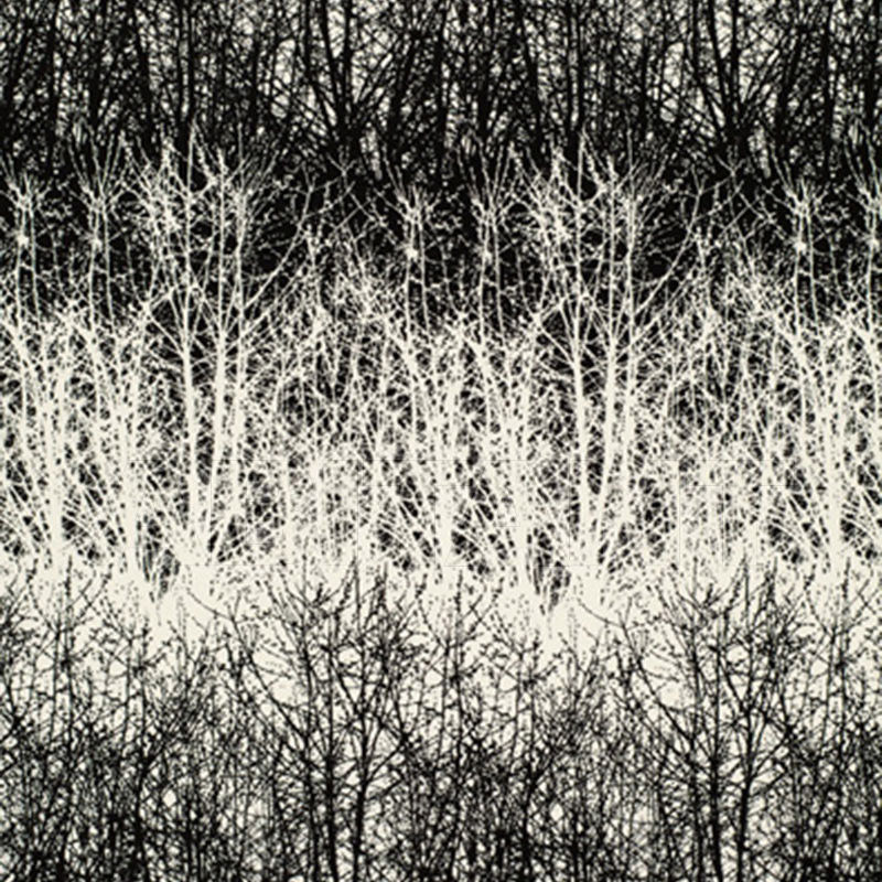 Купить Интерьерная ткань BIRCHES F. Schumacher & Co. FABRICS 2644021
