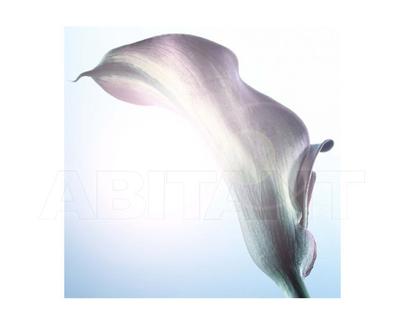 Купить Декоративное панно Floral Pusha Chelsea Interiors 630101005