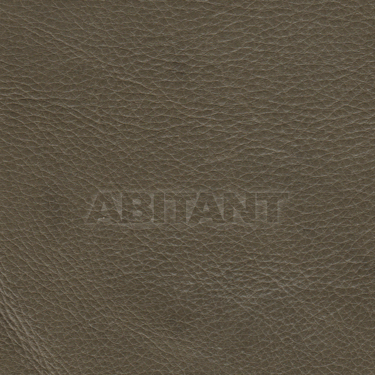 Купить Обивочная ткань Taylor King LEATHERS BRIGHTON LODEN