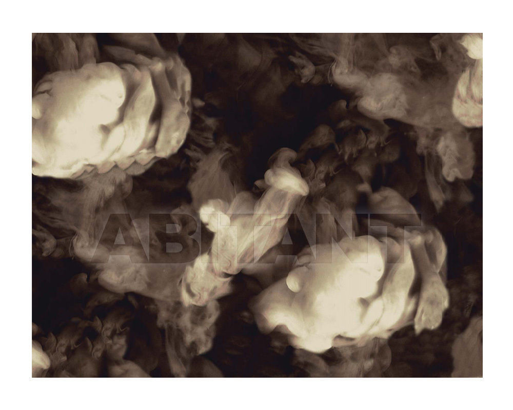 Купить Ковровое покрытие Ege  Wall-to-wall carpets RF52752289