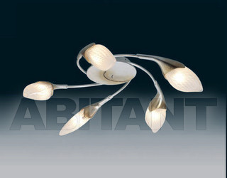Светильник Irilux Tulip 252229