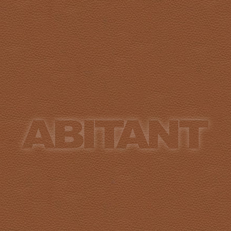 Купить Обивочная ткань SPECTRUM BRIDLE Vanguard Furniture Leather 2457 
