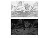 Ковер классический Illulian & C. s.n.c Design Collection 021W 021SAW flamengo Современный / Скандинавский / Модерн