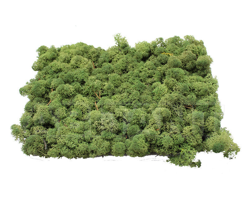 Купить Декоративная панель VERDE PROFILO MOSSwall 2018 MW01-FUSION  6