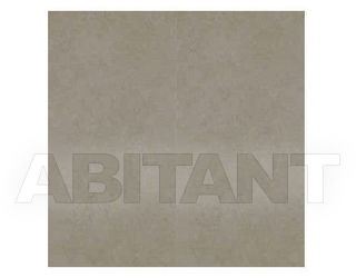 Плитка напольная Seranit Seranit ARC VIZION 60