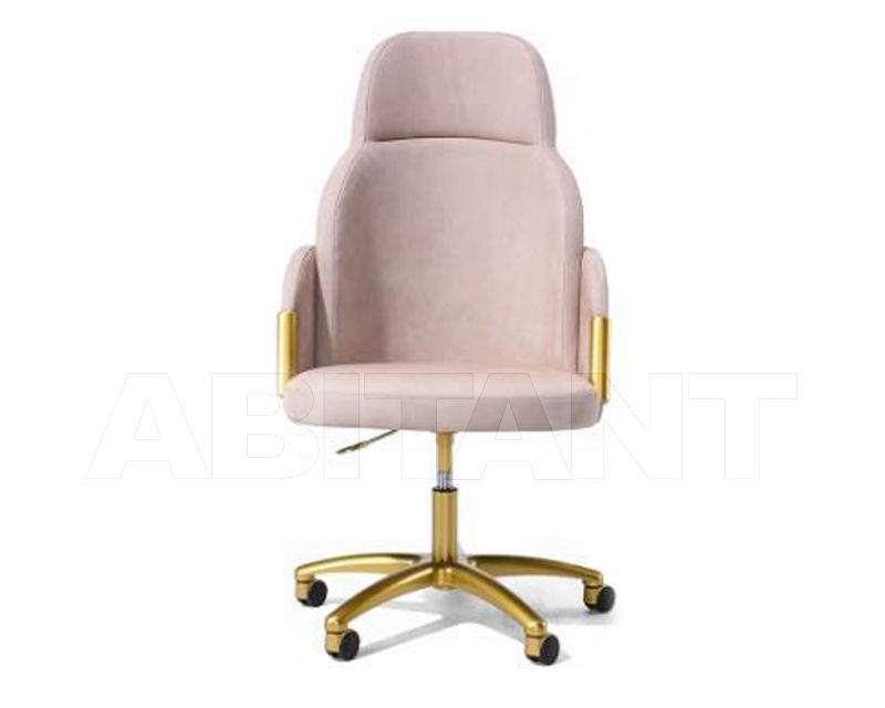 Купить Кресло для кабинета Aleal  CHAIRS 1CADGIRCORGS