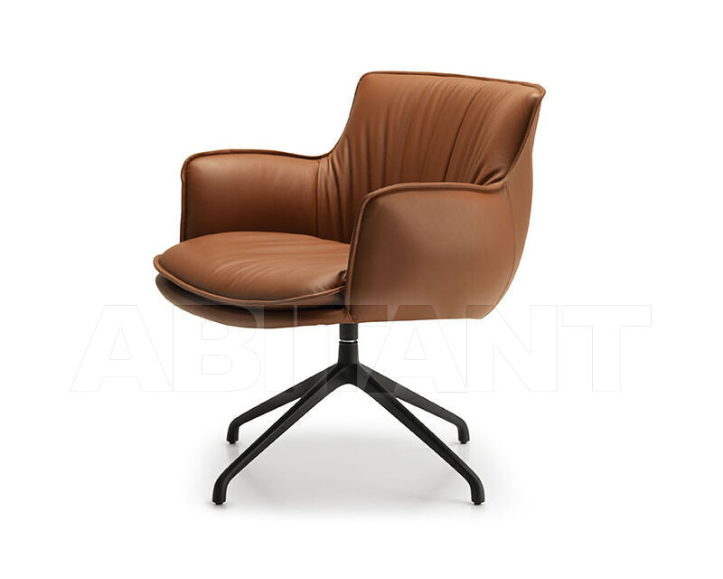 Купить Кресло Cattelan Italia 2023 RHONDA Lounge