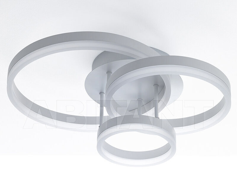 Купить Светильник RINGS F.lli Tomasucci  2024 4661