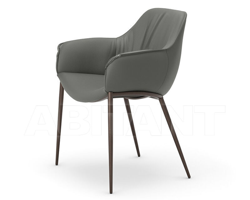 Купить Стул с подлокотниками Cattelan Italia 2024 SCARLETT ML