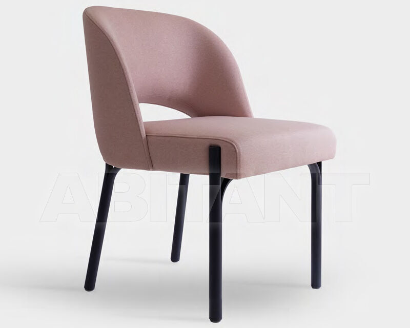 Купить Стул STEEL.298 Tonon  2025 298.03