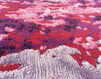 Ковер современный Serge Lesage 2025 Earth cardinal red